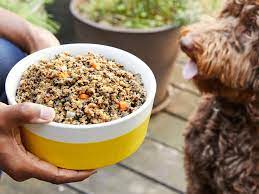 How to Choose the Right Food for Your Puppy